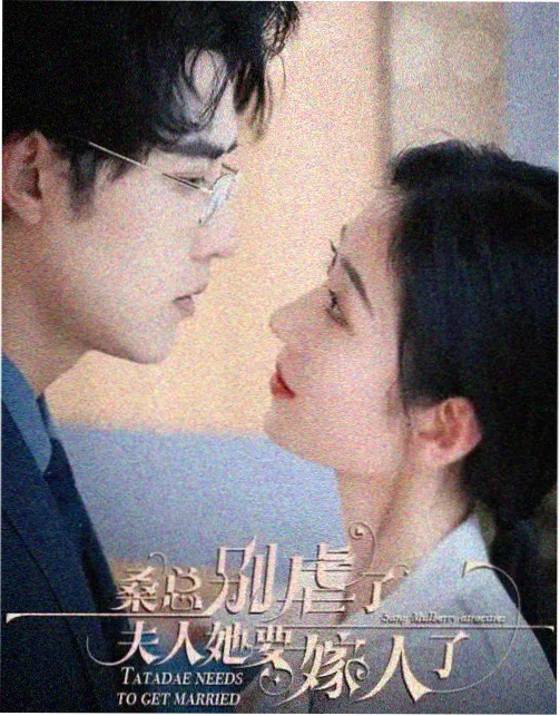 山海情 哚哚2021好看电视剧