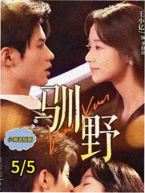 流金岁月 哚哚2021好看电视剧